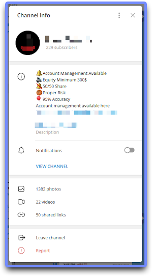 Example of an account manager’s Telegram channel info